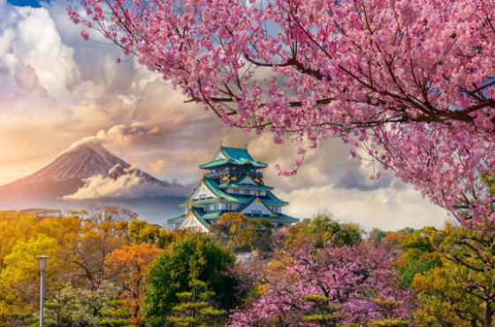 Japan Discovery Escape 🇯🇵