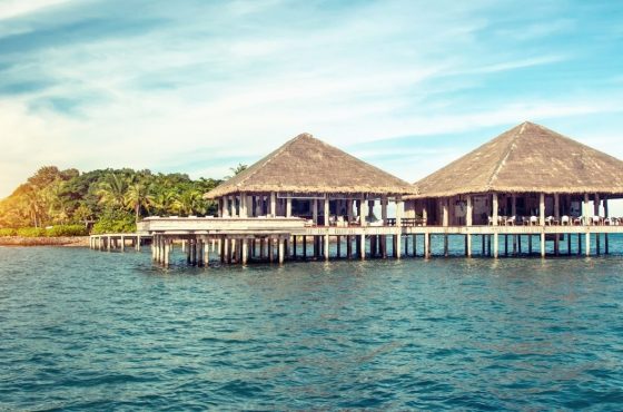 Indian hotels that are destinations by themselves