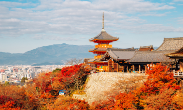 Cherry Blossom Japan Escape – 7 Nights / 8Days