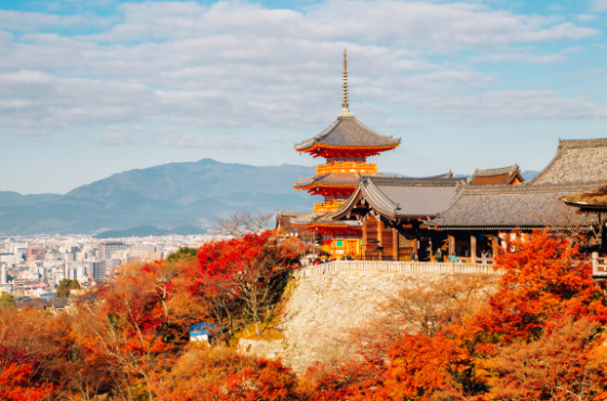 Cherry Blossom Japan Escape – 7 Nights / 8Days
