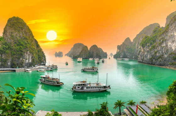 Vietnam Escape: Hanoi, Halong Bay & Da Nang Adventure
