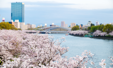 Japan Golden Route Explorer – 8 Nights / 9 Days