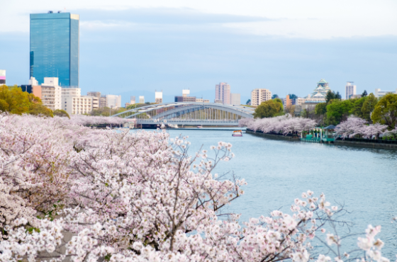 Japan Golden Route Explorer – 8 Nights / 9 Days