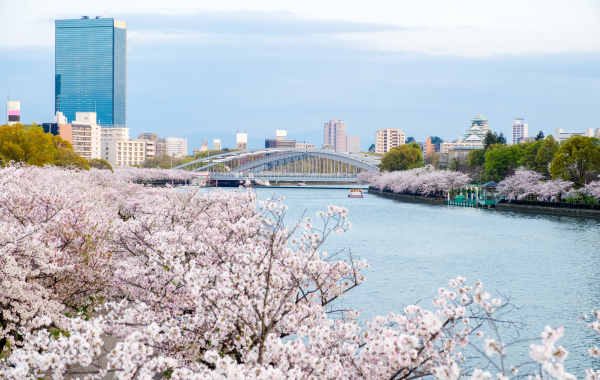 Japan Golden Route Explorer – 8 Nights / 9 Days