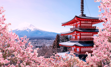 Japan Cherry Blossom Discovery – 8 Nights / 9 Days
