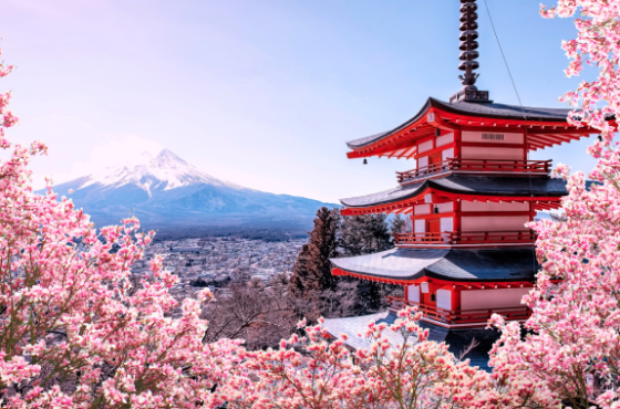 Japan Cherry Blossom Discovery – 8 Nights / 9 Days