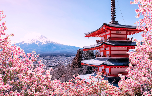 Japan Cherry Blossom Discovery – 8 Nights / 9 Days