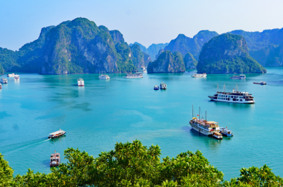Vietnam Escape: Culture, Nature & Coastal Charm