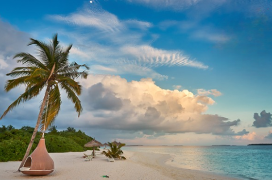 Cocoon Maldives Luxury Escape – Beach Villa Retreat