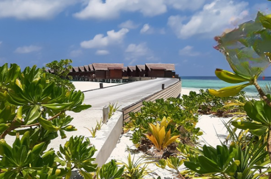 Luxury Maldives Island Getaway at Grand Park Kodhipparu