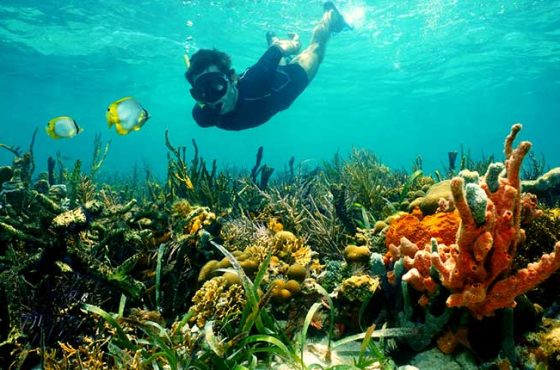 Palau: The Aquatic Wonder Escape