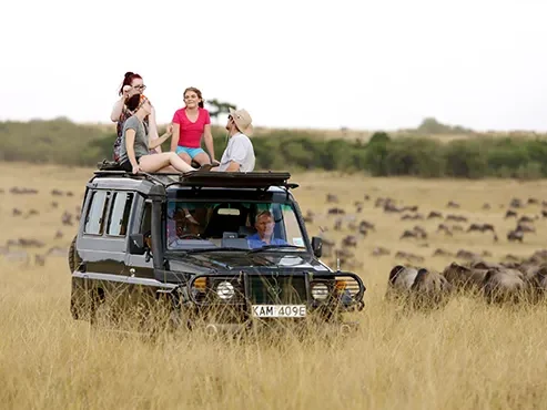 Safari Dreams of Kenya – 4-Day Wildlife Adventure