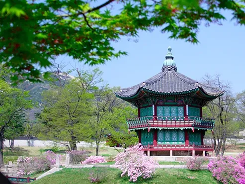 Korea Escape