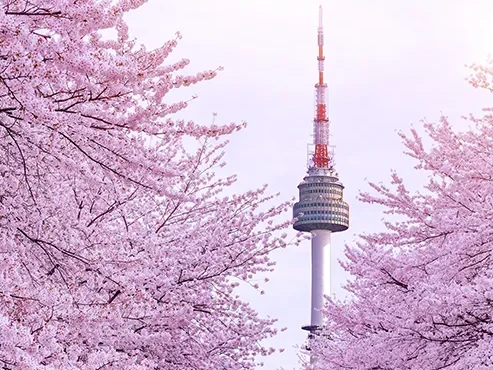 A Complete Korea Experience: From Seoul’s Vibrant Skyline to Busan’s Coastal Beauty