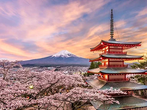 Japan Fusion – Classic Japan Discovery Tour