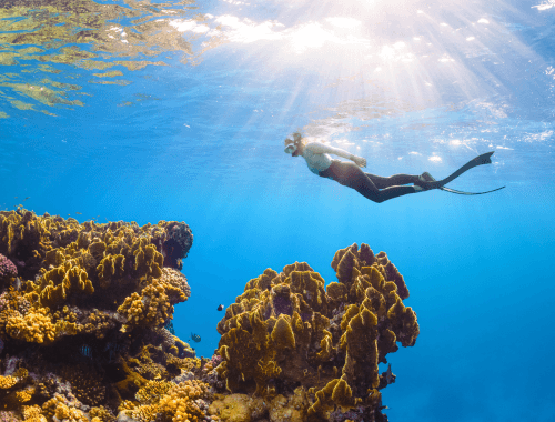 Saudi Arabia Red Sea Escape