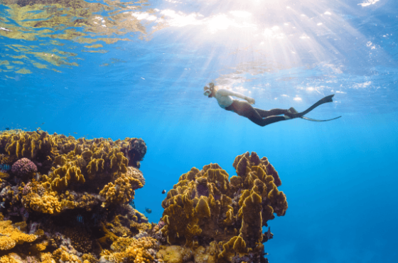 Saudi Arabia Red Sea Escape