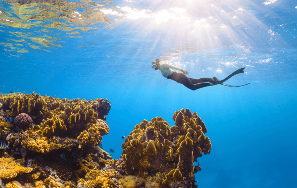 Saudi Arabia Red Sea Escape