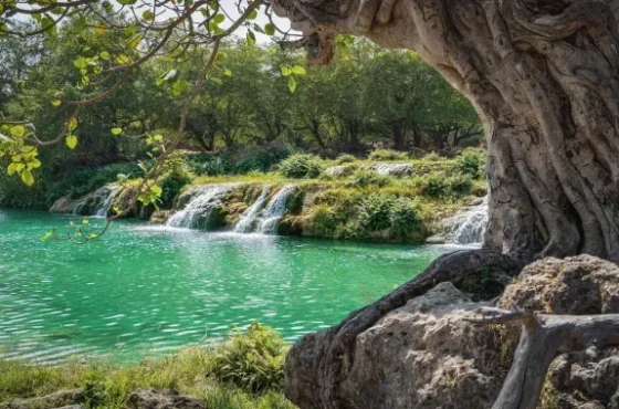 SALALAH DISCOVERY