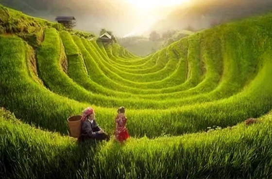 Discover the Beauty of North Vietnam